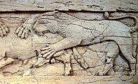  Ivory Panel